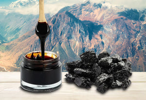 Unlocking the Power of Shilajit: The Ancient Resin for Modern Wellness